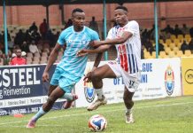 IT’S BIRDS ON TOP! IT’S BIRDS ON TOP!