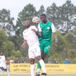 Mamba Poison Nsingizini Hotspurs Mamba Poison Nsingizini Hotspurs