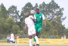 Mamba Poison Nsingizini Hotspurs Mamba Poison Nsingizini Hotspurs