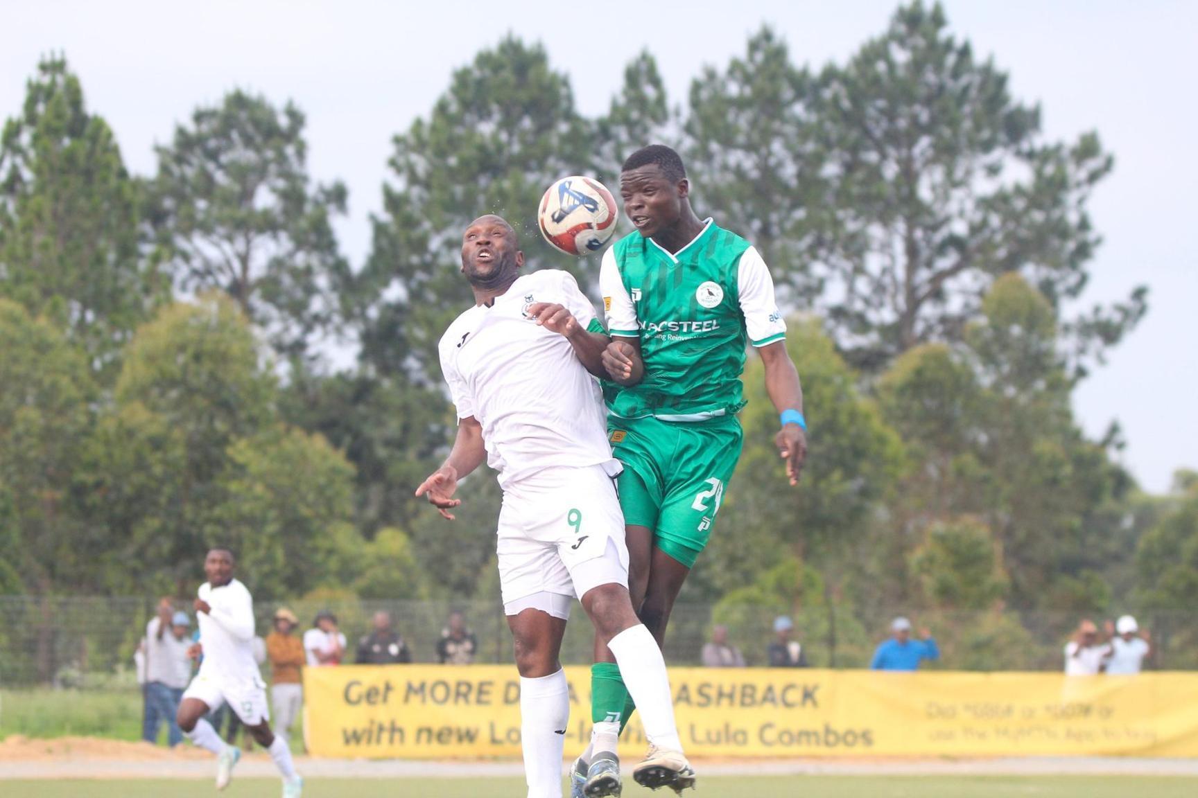 Mamba Poison Nsingizini Hotspurs Mamba Poison Nsingizini Hotspurs