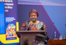 Africa Advances Seamless Cross-Border Payments Africa Advances Seamless Cross-Border Payments