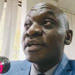 PUDEMO Urges PAP to Support Democratic Reforms in Eswatini PUDEMO Urges PAP to Support Democratic Reforms in Eswatini