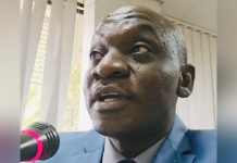 PUDEMO Urges PAP to Support Democratic Reforms in Eswatini PUDEMO Urges PAP to Support Democratic Reforms in Eswatini