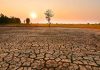 Scientists Urge Radical Action on Climate Tipping Points Scientists Urge Radical Action on Climate Tipping Points