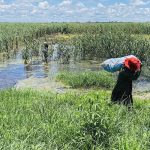 Smartphones Women’S Rights and Coupons Boosting Insurance Smartphones Women’S Rights and Coupons Boosting Insurance