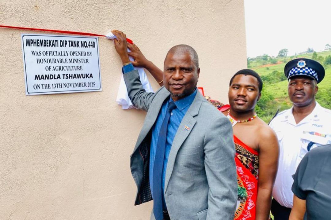 Government Opens Mphembekati Dip Tank for Livestock Health Government Opens Mphembekati Dip Tank for Livestock Health