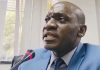 PUDEMO Leader Calls for SADC Tribunal Reinstatement PUDEMO Leader Calls for SADC Tribunal Reinstatement