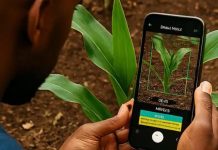 EKUKHANYENI HIGH RALLIES NATION AHEAD NIGERIA COMPETITION EKUKHANYENI HIGH RALLIES NATION AHEAD NIGERIA COMPETITION