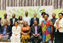 Minister Prince Lonkhokhela Sets Target for 1 500 Megawatts Minister Prince Lonkhokhela Sets Target for 1 500 Megawatts