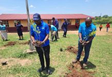 Croydon Community Leads Successful Clean-Up and Tree Planting Croydon Community Leads Successful Clean-Up and Tree Planting