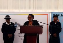 Disability Inclusion Strengthens Eswatini’S Economy Disability Inclusion Strengthens Eswatini'S Economy