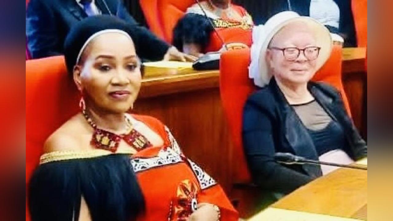 Gwebu-Dlamini'S Call for Political Conflict Among Emaswati Gwebu-Dlamini'S Call for Political Conflict Among Emaswati