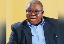 Msibi Claims Betrayal by Dlamini but Supports Employment Msibi Claims Betrayal by Dlamini but Supports Employment