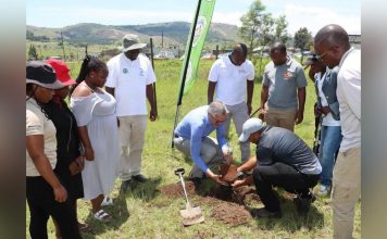 Motshane Inkhundla Leads Youth Reforestation Efforts Motshane Inkhundla Leads Youth Reforestation Efforts