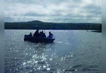 Police Destroy Dagga Fields during Festive Operations Police Destroy Dagga Fields during Festive Operations