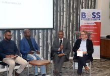 Eswatini Advances Investment Readiness via AFCFTA Collaboration Eswatini Advances Investment Readiness via AFCFTA Collaboration