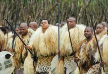 POLICE URGE ROAD PATIENCE DURING INCWALA, FESTIVE SEASON POLICE URGE ROAD PATIENCE DURING INCWALA, FESTIVE SEASON