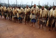 CATTLE BYRE EXTENDED FOR INCWALA CATTLE BYRE EXTENDED FOR INCWALA