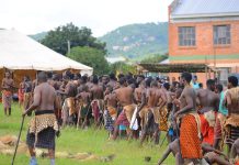 Nationwide Ingaja Registration Underway for Incwala Nationwide Ingaja Registration Underway for Incwala