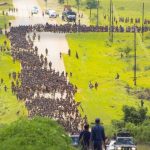 KING COMMISSIONS INGAJA TO HARVEST SACRED LUSEKWANE KING COMMISSIONS INGAJA TO HARVEST SACRED LUSEKWANE