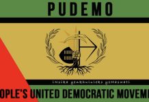 PUDEMO Youth League Demands Accountability for Torture PUDEMO Youth League Demands Accountability for Torture