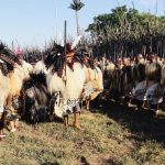 King Mswati Attends Incwala Ceremony at Ludzidzini Palace King Mswati Attends Incwala Ceremony at Ludzidzini Palace
