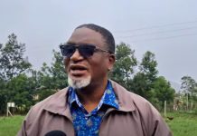 MOTSHANE MP APPLAUDS GOVERNMENT FOR ROADS CONSTRUCTION MOTSHANE MP APPLAUDS GOVERNMENT FOR ROADS CONSTRUCTION