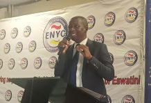 Minister Nzima Advocates Effective Youth Programs Minister Nzima Advocates Effective Youth Programs