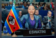 Minister Stresses Need for Stability Across Africa Minister Stresses Need for Stability Across Africa