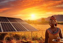 Inside Africa’S Micro-Grid Boom and Electricity Access Inside Africa'S Micro-Grid Boom and Electricity Access
