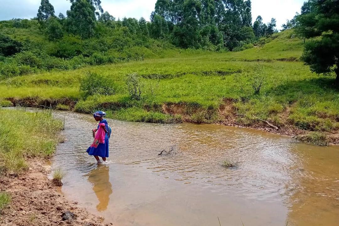 Microprojects Launch E1.4 Million Vusweni-Nsingweni Footbridge Microprojects Launch E1.4 Million Vusweni-Nsingweni Footbridge