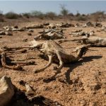 Climate Change may Threaten 1.1 Billion with Hunger Climate Change may Threaten 1.1 Billion with Hunger
