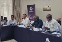 Minister Advocates Stronger Regional Power Lines for Trade Minister Advocates Stronger Regional Power Lines for Trade