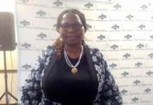 RSTI, ESEPARC DRAFT BLUEPRINT FOR NEW ESWATINI RSTI, ESEPARC DRAFT BLUEPRINT FOR NEW ESWATINI