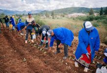 Standard Bank Team Drives Community Impact through Feeding Initiative Standard Bank Team Drives Community Impact through Feeding Initiative
