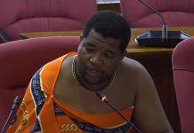 Senators Praise Home Affairs for Cultural Events Success Senators Praise Home Affairs for Cultural Events Success