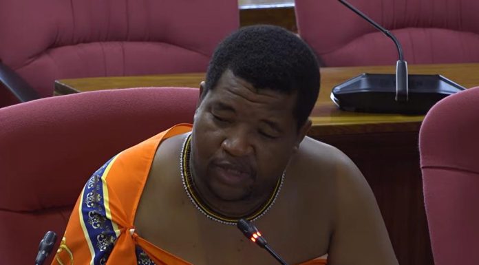 Senators Praise Home Affairs for Cultural Events Success Senators Praise Home Affairs for Cultural Events Success