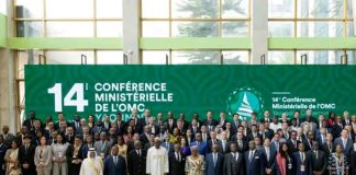 Global Trade Reforms Offer Hope for Small Economies Global Trade Reforms Offer Hope for Small Economies