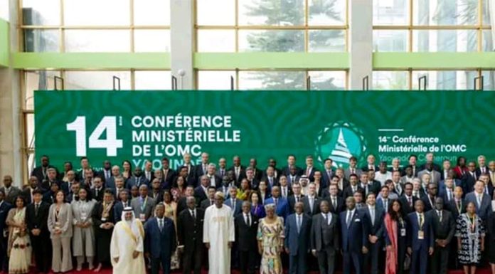 Global Trade Reforms Offer Hope for Small Economies Global Trade Reforms Offer Hope for Small Economies