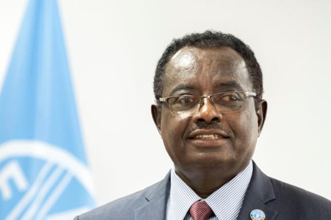 Over 300 Million Africans Face Hunger Amid Calls for Action Over 300 Million Africans Face Hunger Amid Calls for Action