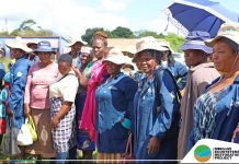 LOMAHASHA COMMUNITIES REDISCOVER THE POWER OF LOCAL FOOD LOMAHASHA COMMUNITIES REDISCOVER THE POWER OF LOCAL FOOD