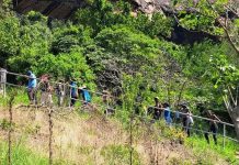 YOUTH LEAD CONSERVATION OF NATURAL HERITAGE YOUTH LEAD CONSERVATION OF NATURAL HERITAGE