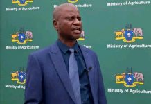 Minister Offers Hope to Mhlambanyatsi Farmers Facing FMD Minister Offers Hope to Mhlambanyatsi Farmers Facing FMD