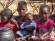 African Governments Urged to Address Fertilizer Shortages African Governments Urged to Address Fertilizer Shortages