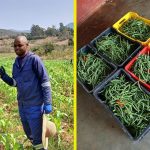 YOUNG FARMER BUILDS DREAM THROUGH HARD WORK YOUNG FARMER BUILDS DREAM THROUGH HARD WORK