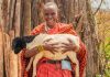 Maasai Women Grow Fodder to Save Livestock Maasai Women Grow Fodder to Save Livestock
