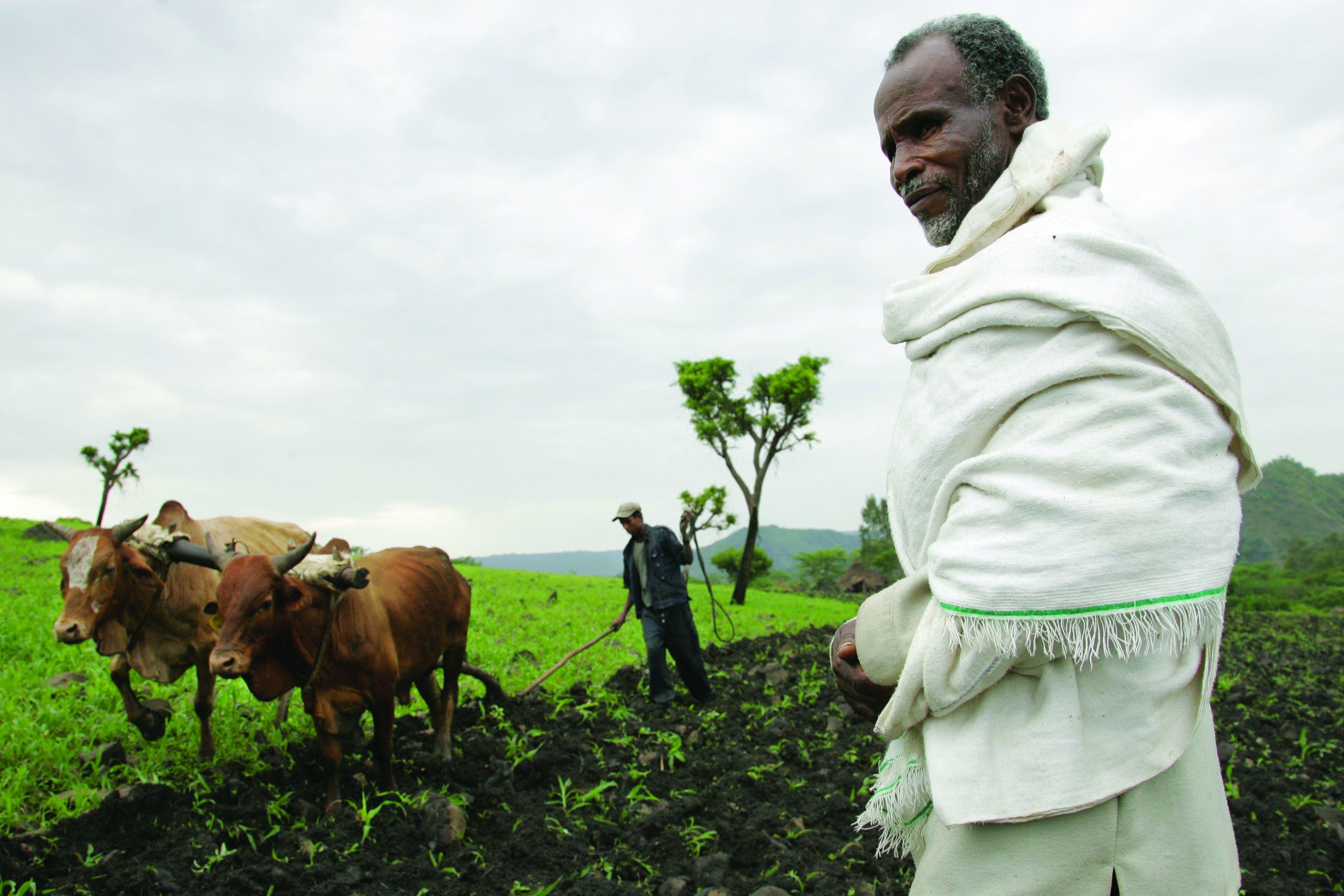 Ethiopia, lower Ghibe valley