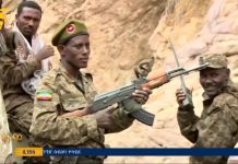 ‘Who let them in?’: Ethiopian army official says Eritrean armed forces in Tigray