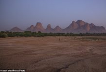 Ethiopian army official confirms Eritrean troops in Tigray