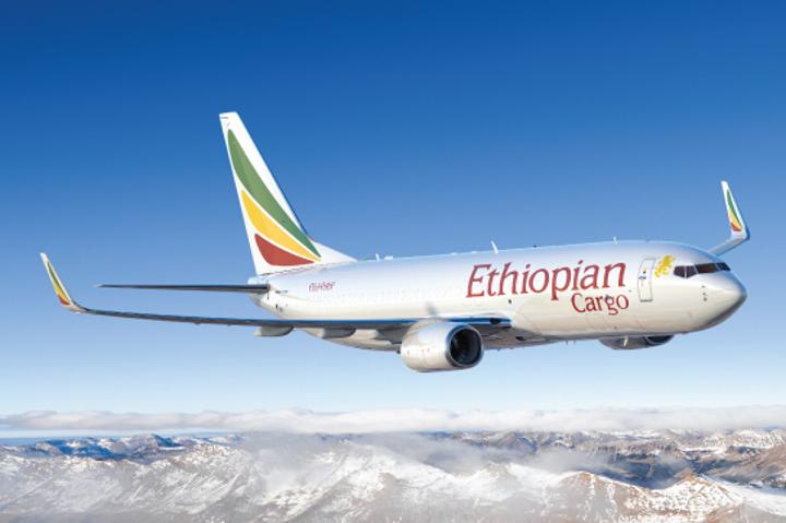 Ethiopian Transports Over 95 Mil Stems of Flowers for Valentine’s Season